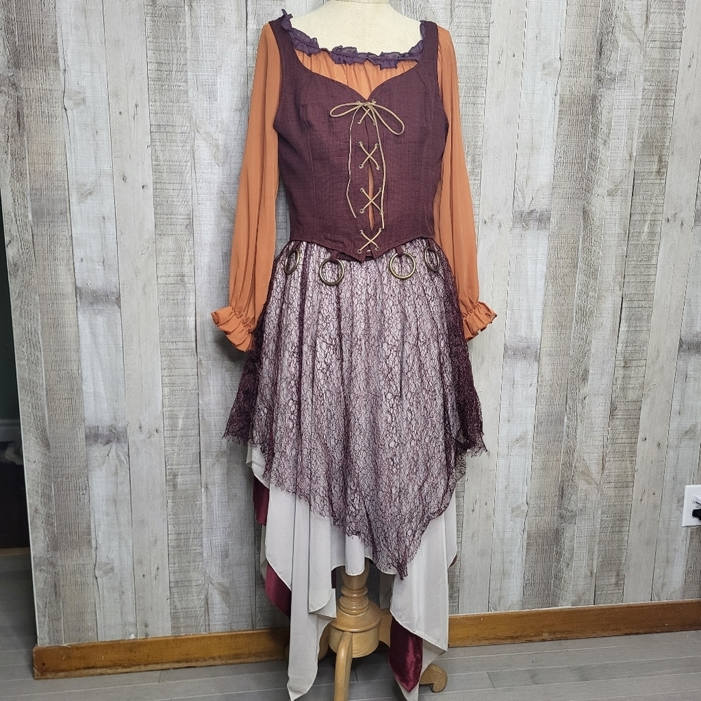 Hocus Pocus Mary Sanderson Costume Dress. Size Meduim